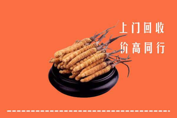 高价求购：富裕县回收散虫草