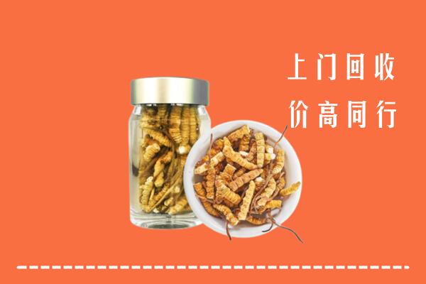 收购行情：富裕县回收冬虫夏草
