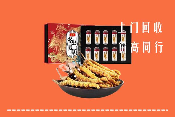 收购行情：富裕县回收虫草
